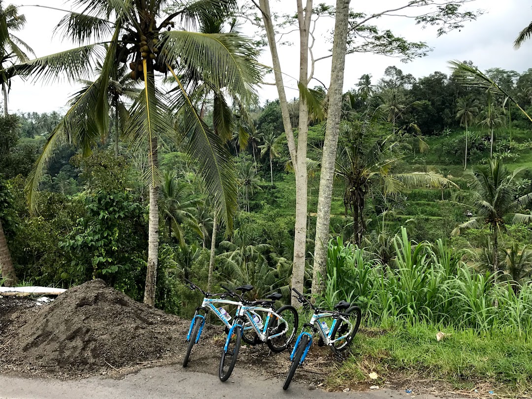 Jegeg Bali Cycling Tours