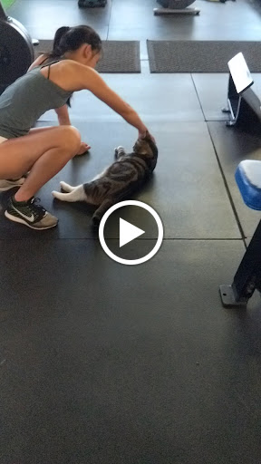 Health Club «Island Fitness LLC», reviews and photos, 5800 Padre Blvd # 201, South Padre Island, TX 78597, USA