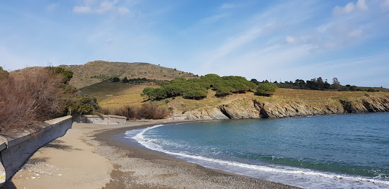 Praia Bernardi