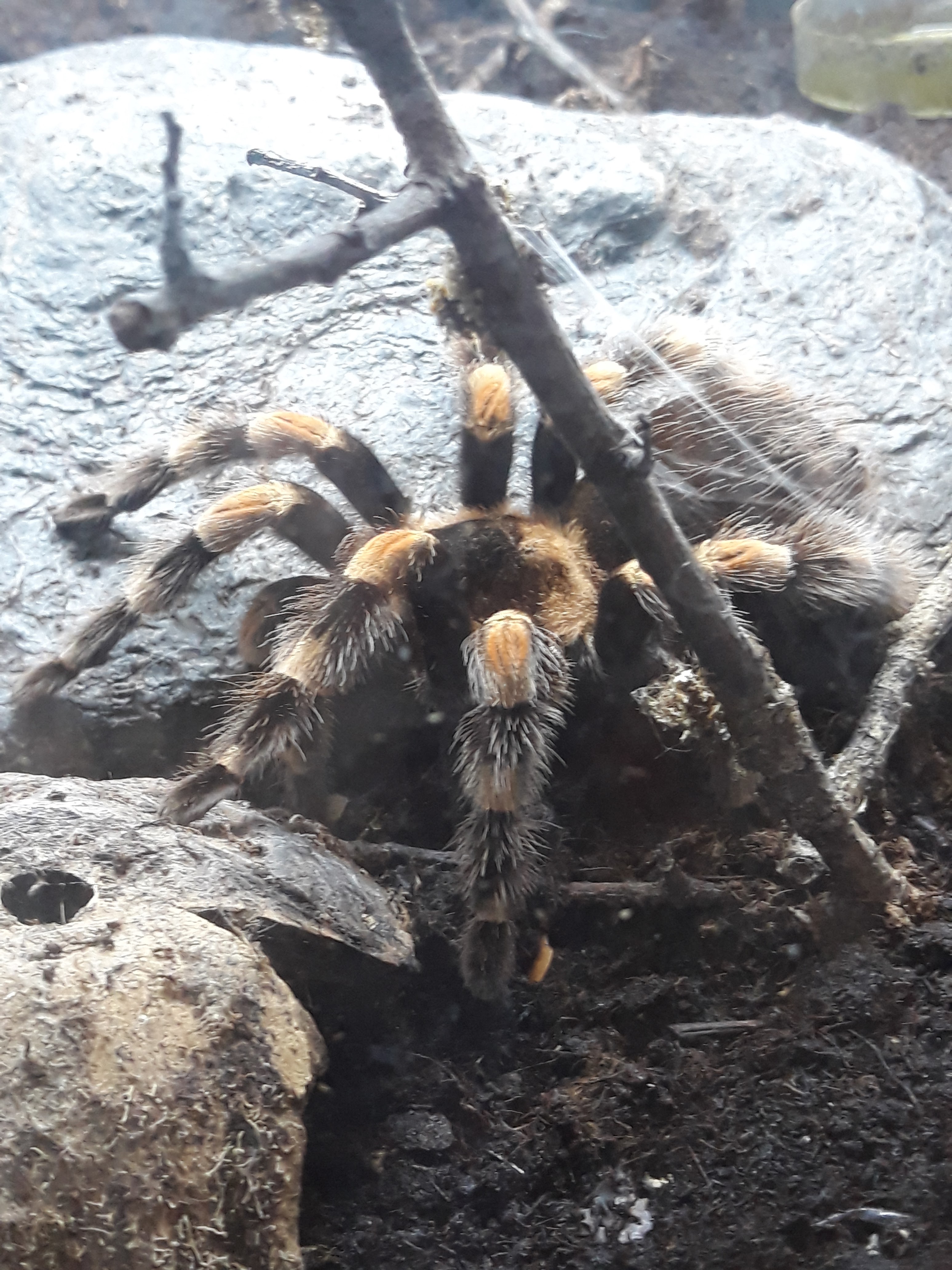 Photo n° 14 de l'avis de Estelle.o fait le 09/08/2018 à 10:25