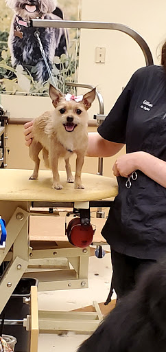 Pet Supply Store «PetSmart», reviews and photos, 1130 SE Everett Mall Way, Everett, WA 98208, USA