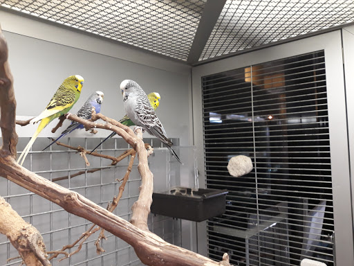 Parrot shops in Zurich