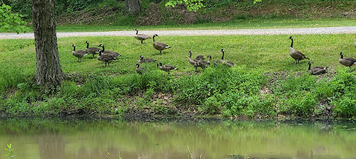 Museum «Drake Well Museum & Park», reviews and photos, 202 Museum Ln, Titusville, PA 16354, USA