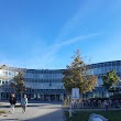 Universität Regensburg Fakultät für Medizin - Dekanat