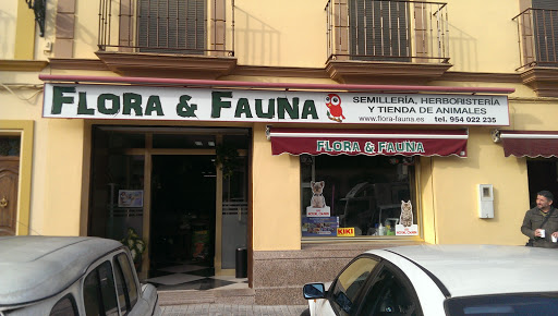 Flora Y Fauna