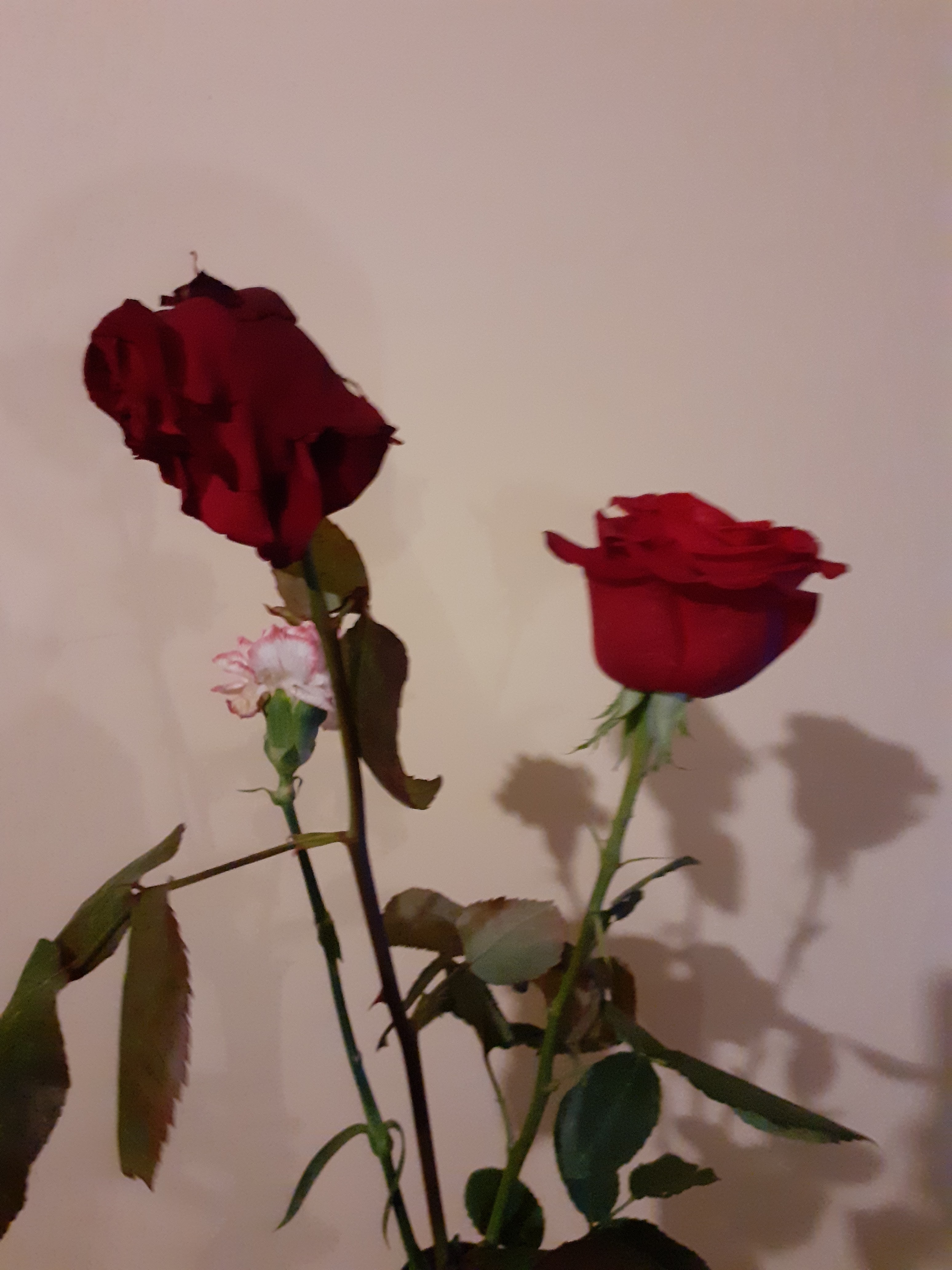 Photo n° 1 de l'avis de Florian.e fait le 15/02/2024 à 22:48