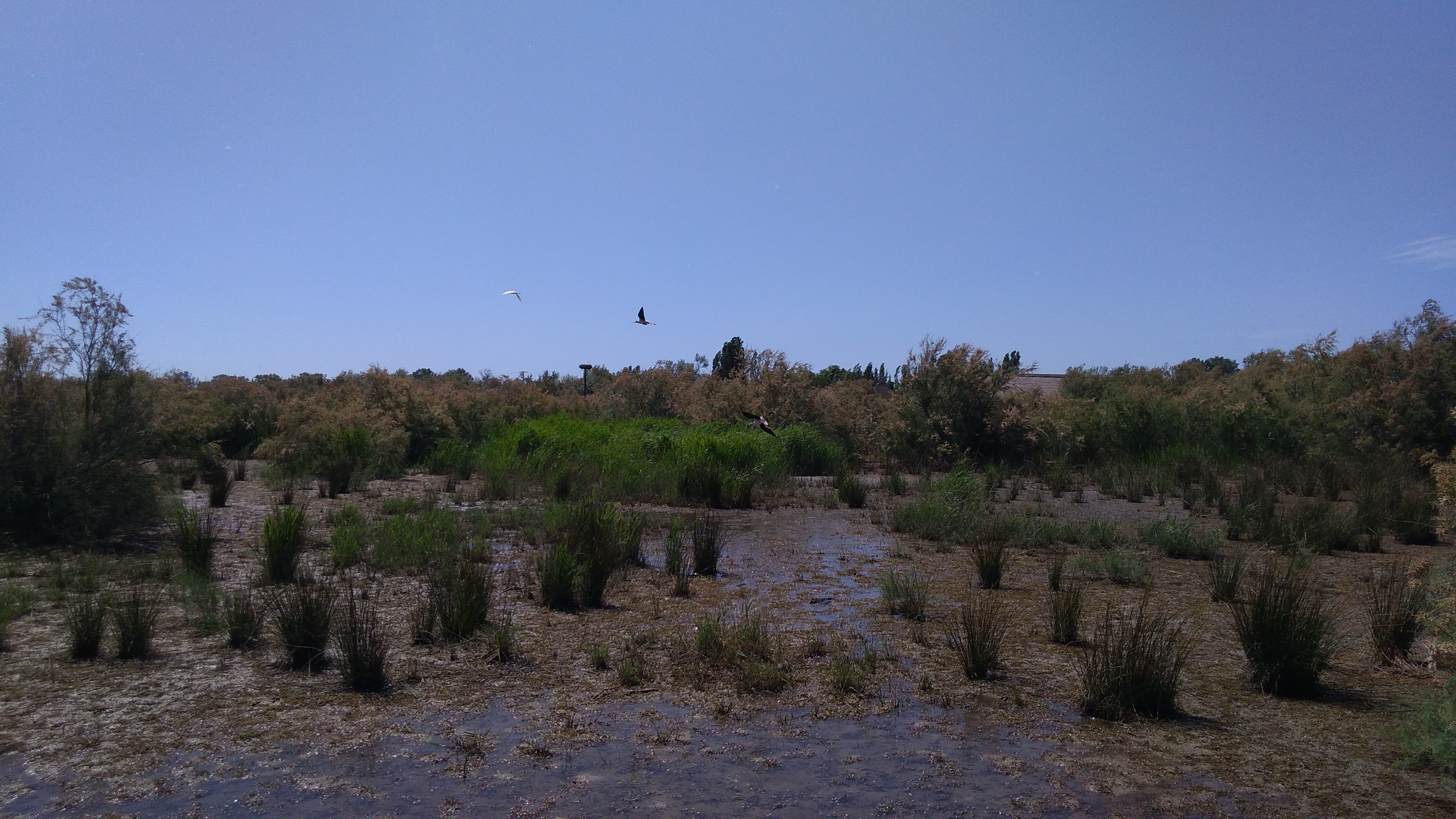 Photo n° 2 de l'avis de greg. fait le 05/06/2019 à 14:42