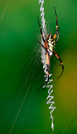 Nature Preserve «Forever Wild Trails», reviews and photos, 384 Narcisse Drive, Dothan, AL 36305, USA