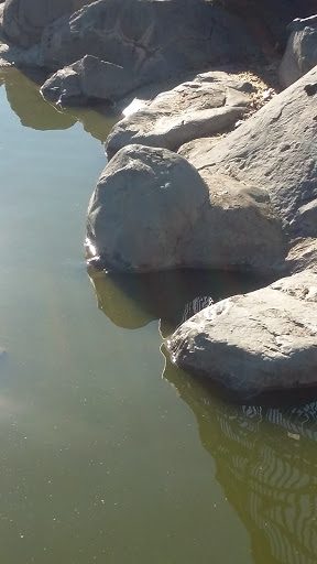 Golf Course «Alhambra Golf Course», reviews and photos, 630 S Almansor St, Alhambra, CA 91801, USA