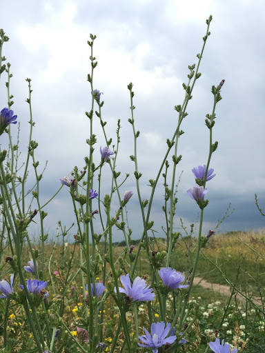 Event Venue «Willow Island at the Alliant Energy Center», reviews and photos, 1919 Alliant Energy Center Way, Madison, WI 53713, USA