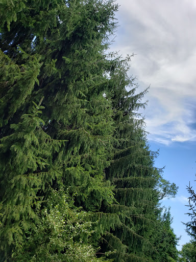 Park «Sweets Knoll State Park», reviews and photos, 1387 Somerset Ave, Dighton, MA 02715, USA