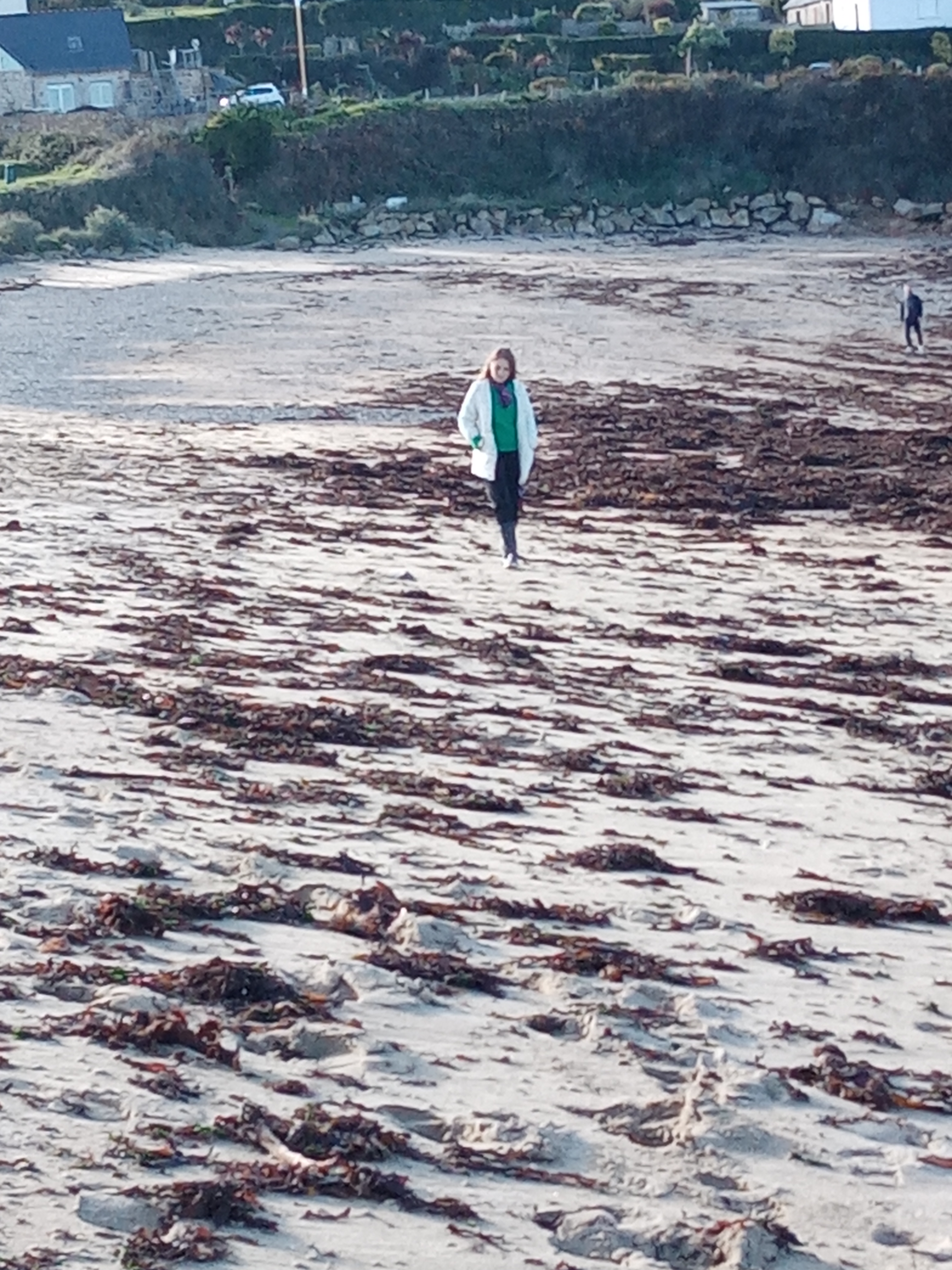 Photo n° 6 de l'avis de francoise.o fait le 20/11/2023 à 11:27