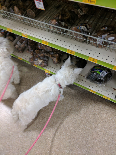 Pet Supply Store «PetSmart», reviews and photos, 351 N Frontage Rd, New London, CT 06320, USA