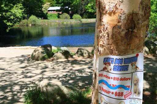 Park «Town of Arlington Menotomy Rocks Park», reviews and photos, 129 Jason St, Arlington, MA 02476, USA