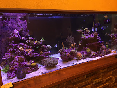 Golden State Corals