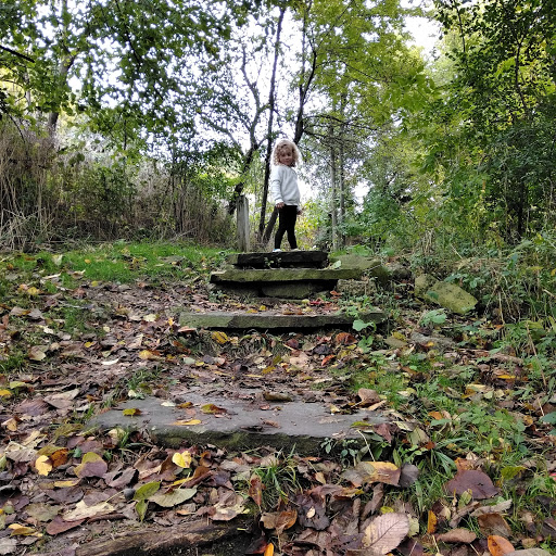 Nature Preserve «Burns-Stokes Preserve», reviews and photos, Zeeb Rd, Dexter, MI 48130, USA