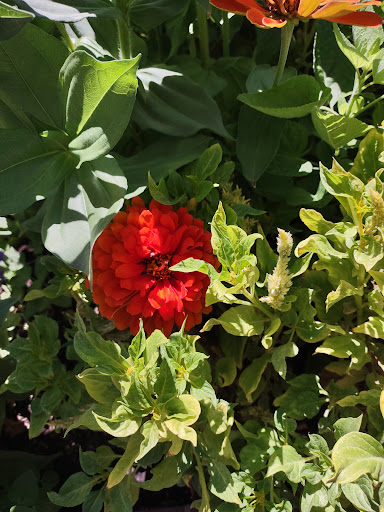 Shopping Mall «Sugar House Shopping Center», reviews and photos, 2274 S 1300 E, Salt Lake City, UT 84106, USA