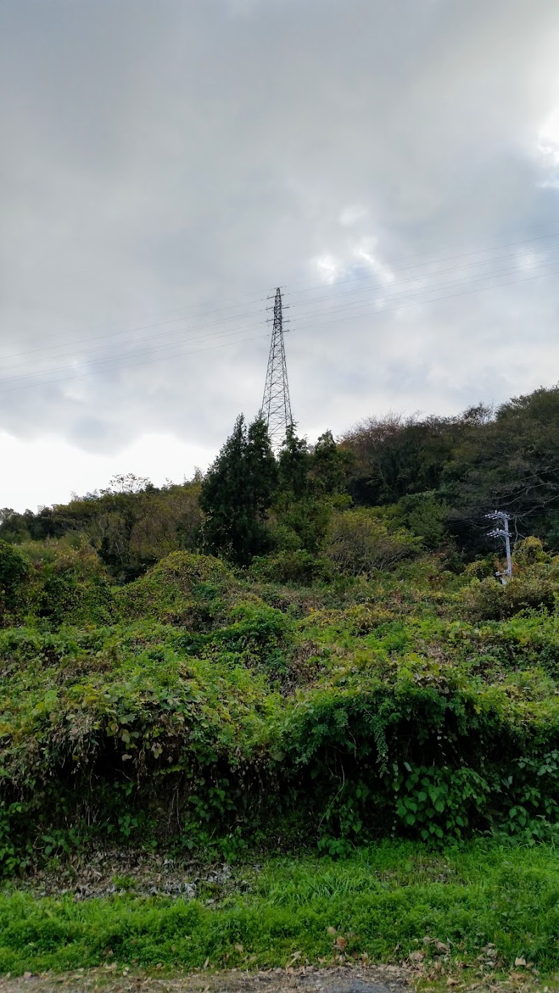 浜田農園みかん直売所