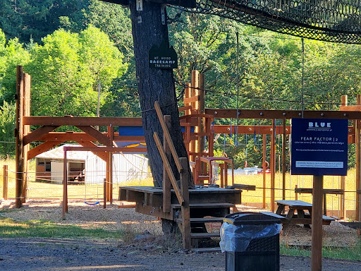Tourist Attraction «Tree to Tree Adventure Park», reviews and photos, 2975 SW Nelson Rd, Gaston, OR 97119, USA
