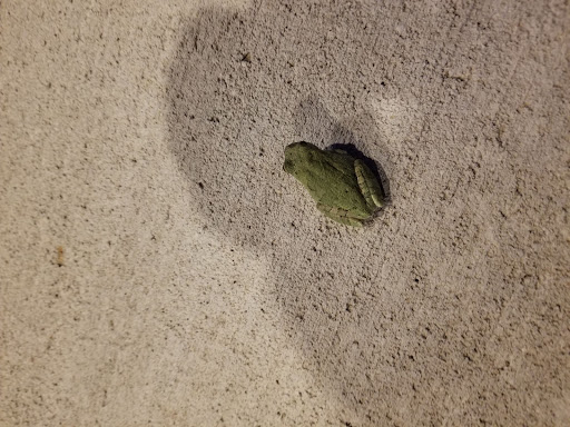 Auto Repair Shop «Silzer Auto Repair», reviews and photos, 3025 Douglas Ave, Des Moines, IA 50310, USA