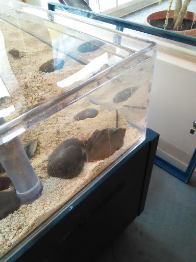 Boutique «Mexicali Blues: Bangor», reviews and photos, 1 W Market Square, Bangor, ME 04401, USA