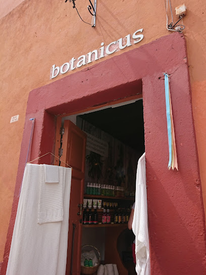 Botanicus San Miguel