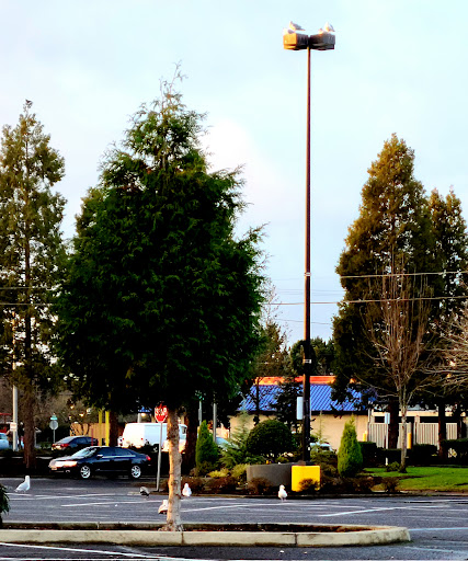 Shopping Mall «Eastport Plaza Shopping Center», reviews and photos, 4000 SE 82nd Ave, Portland, OR 97266, USA