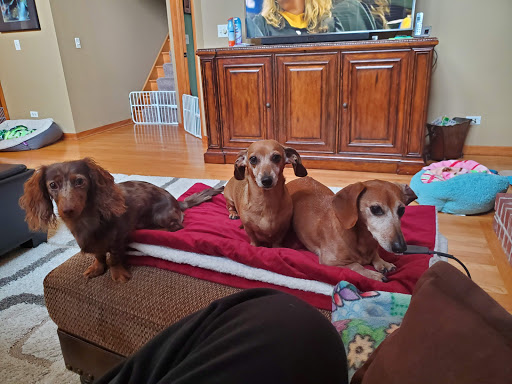 Pet Supply Store «Wet Nose», reviews and photos, 1510 Commons Dr, Geneva, IL 60134, USA