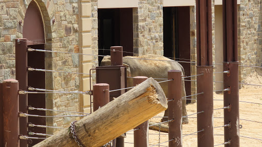 Tourist Attraction «Elephant Trails», reviews and photos, 3001 Connecticut Ave NW, Washington, DC 20008, USA