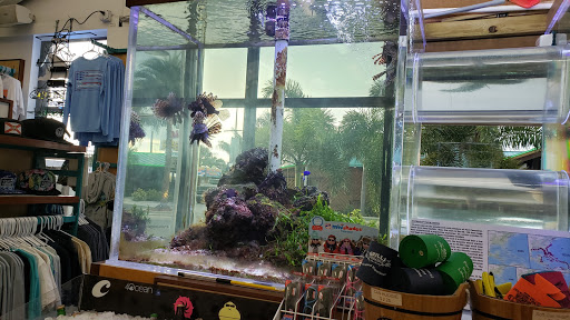 Marina «Sunrise Fish Dive Surf», reviews and photos, 505 Glen Cheek Dr, Port Canaveral, FL 32920, USA