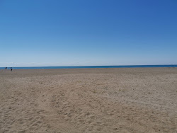 Erieau Beach'in fotoğrafı çok temiz temizlik seviyesi ile