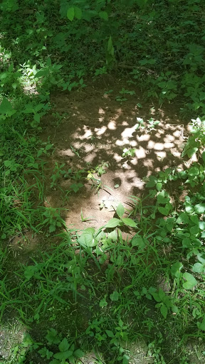 Museum «Audubon Museum & Nature Center», reviews and photos, 3100 US-41, Henderson, KY 42420, USA