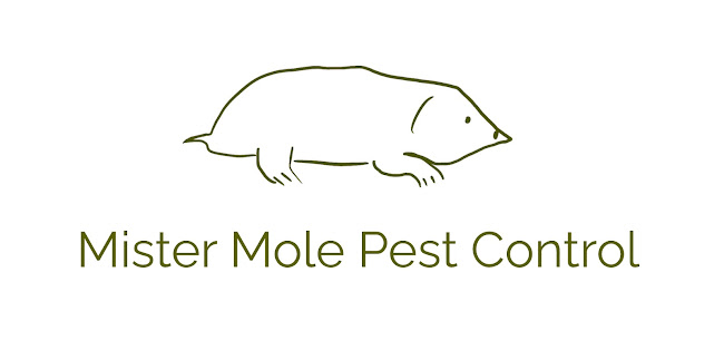 Mister Mole Pest Control