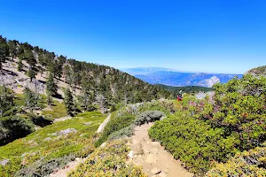 San Gorgonio Wilderness image