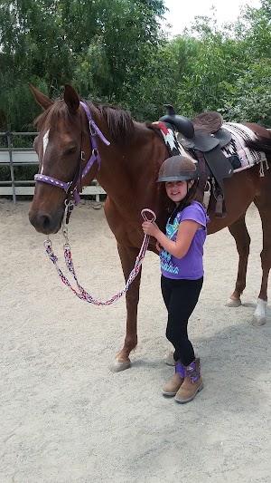 El Rodeo Equestrian Center - photo 72