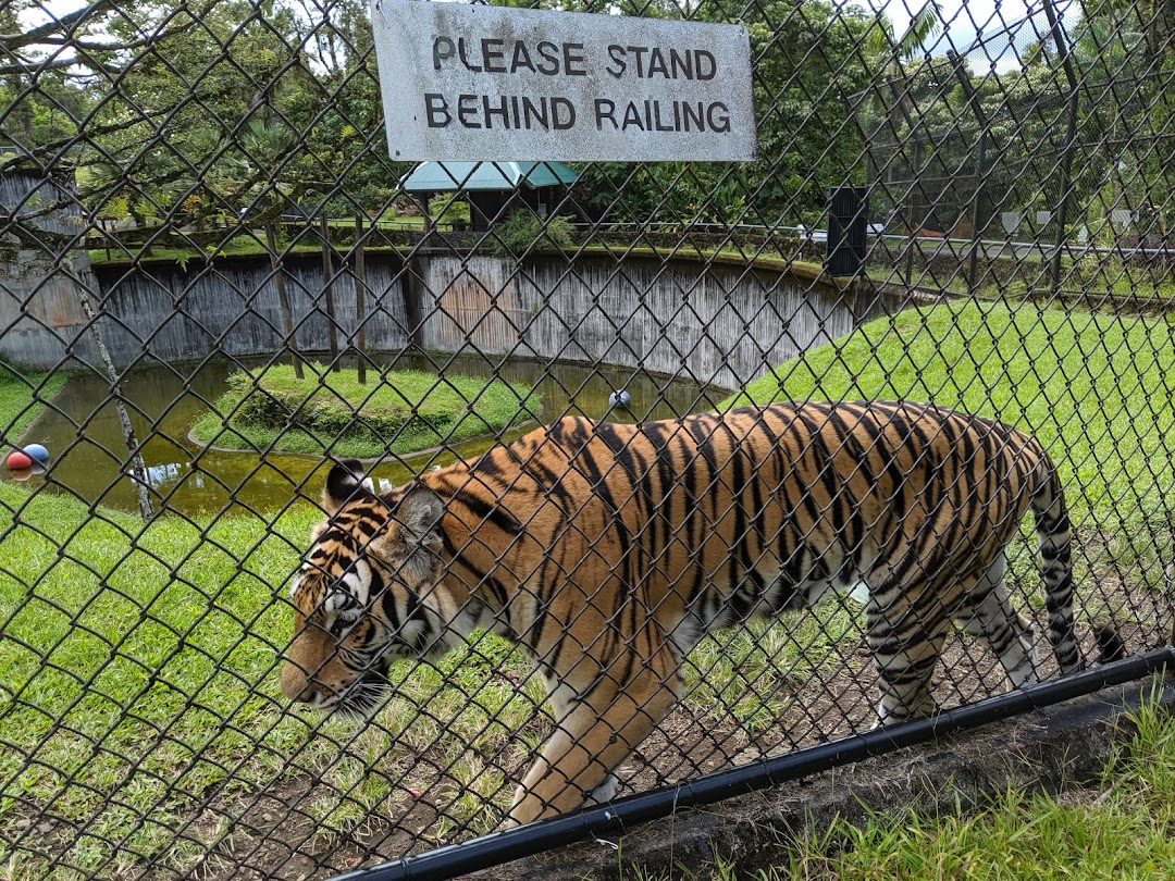 Panaewa Rainforest Zoo