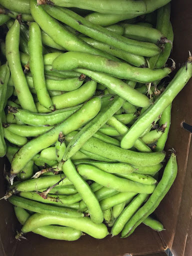 Grocery Store «Tarragon Middle East Market», reviews and photos, 6623 S Dixie Hwy, Miami, FL 33143, USA