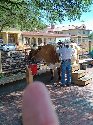Museum «Stockyards Museum», reviews and photos, 131 E Exchange Ave # 113, Fort Worth, TX 76164, USA