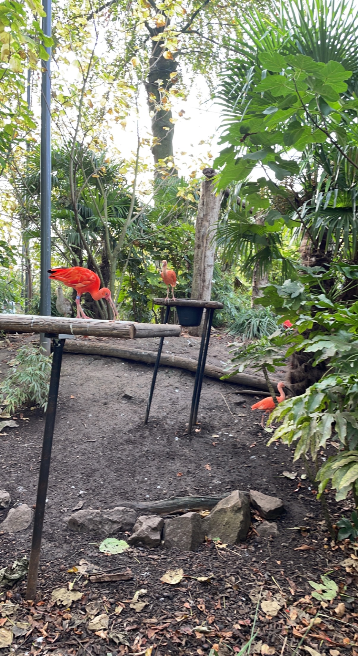 Photo n° 1 de l'avis de Mylene.i fait le 14/11/2022 à 13:45