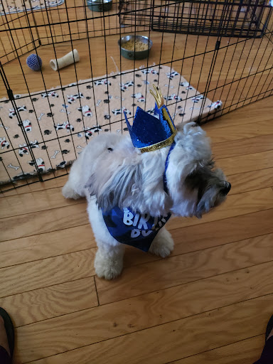 Supermarket «Publix Super Market at Silver Crossing», reviews and photos, 1720 E Silver Star Rd, Ocoee, FL 34761, USA