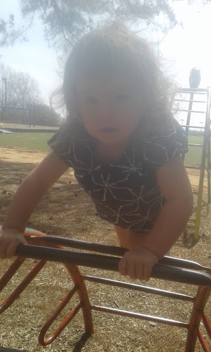 Park «Bowers Park Disc Golf Course», reviews and photos, Bowers Park Dr, Tuscaloosa, AL 35405, USA