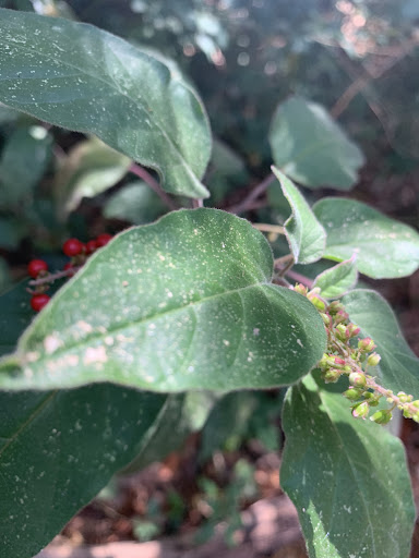 Park «Arch Creek Park», reviews and photos, 1855 NE 135th St, North Miami, FL 33181, USA