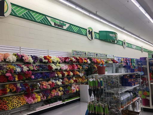 Dollar Store «Dollar Tree», reviews and photos, 2090 Olympic St, Springfield, OR 97477, USA