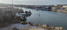 Parc naturel régional de la Narbonnaise en Méditerranée du Restaurant OSTRAS - PORT LEUCATE - n°5