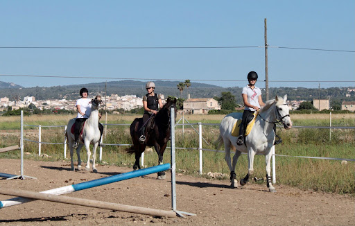 Rancho Ca´n Barrancó | Escuela de equitación en Mallorca