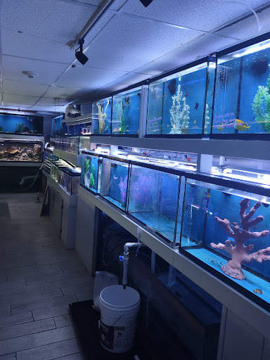 Pet Store «Fish Bowl Aquarium & Pet Mart», reviews and photos, 725 Providence St, West Warwick, RI 02893, USA