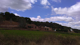 Igreja de São Romão do Sado