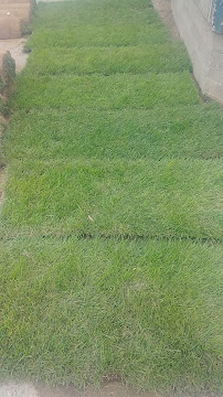 Tim's Turf & Landscaping Materials - Photo 4 - Car repair in Litchfield, NH, Nashua