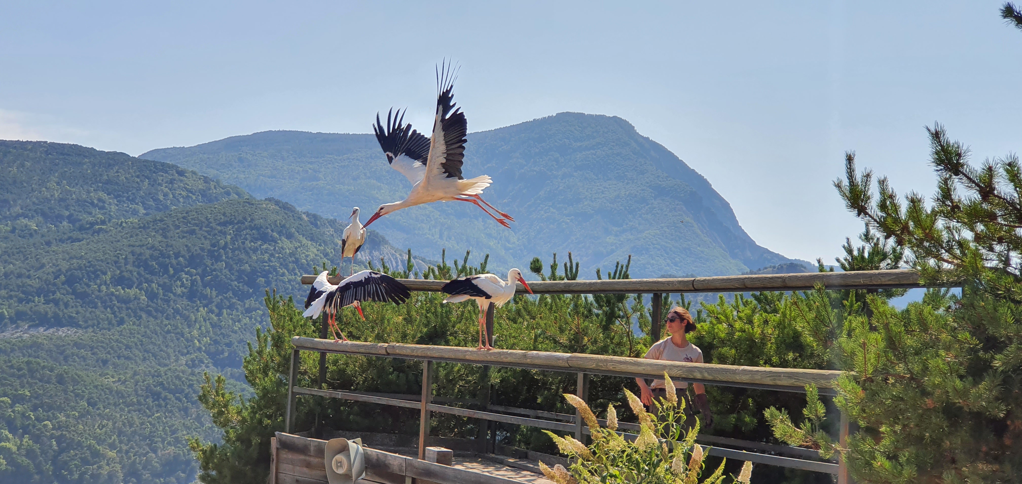 Photo n° 6 de l'avis de Alain.R fait le 30/08/2021 à 21:58