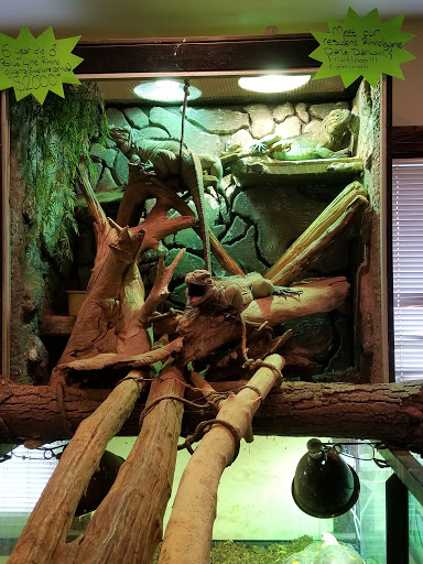 Reptile Store «Pets & Things», reviews and photos, 44825 Van Dyke, Utica, MI 48317, USA
